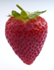 Strawberryberry photo