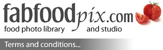 fabfoodpix terms and conditions
